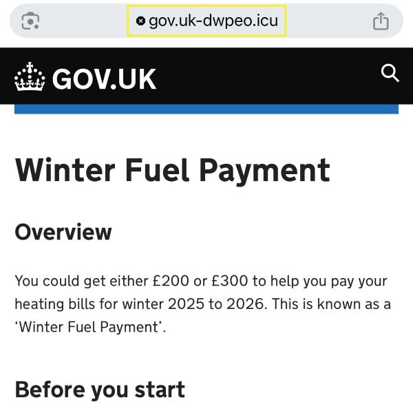 Fake website